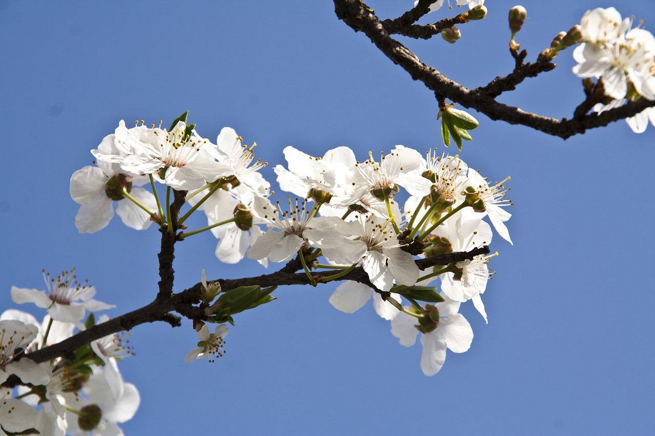 2. 精装户型解析