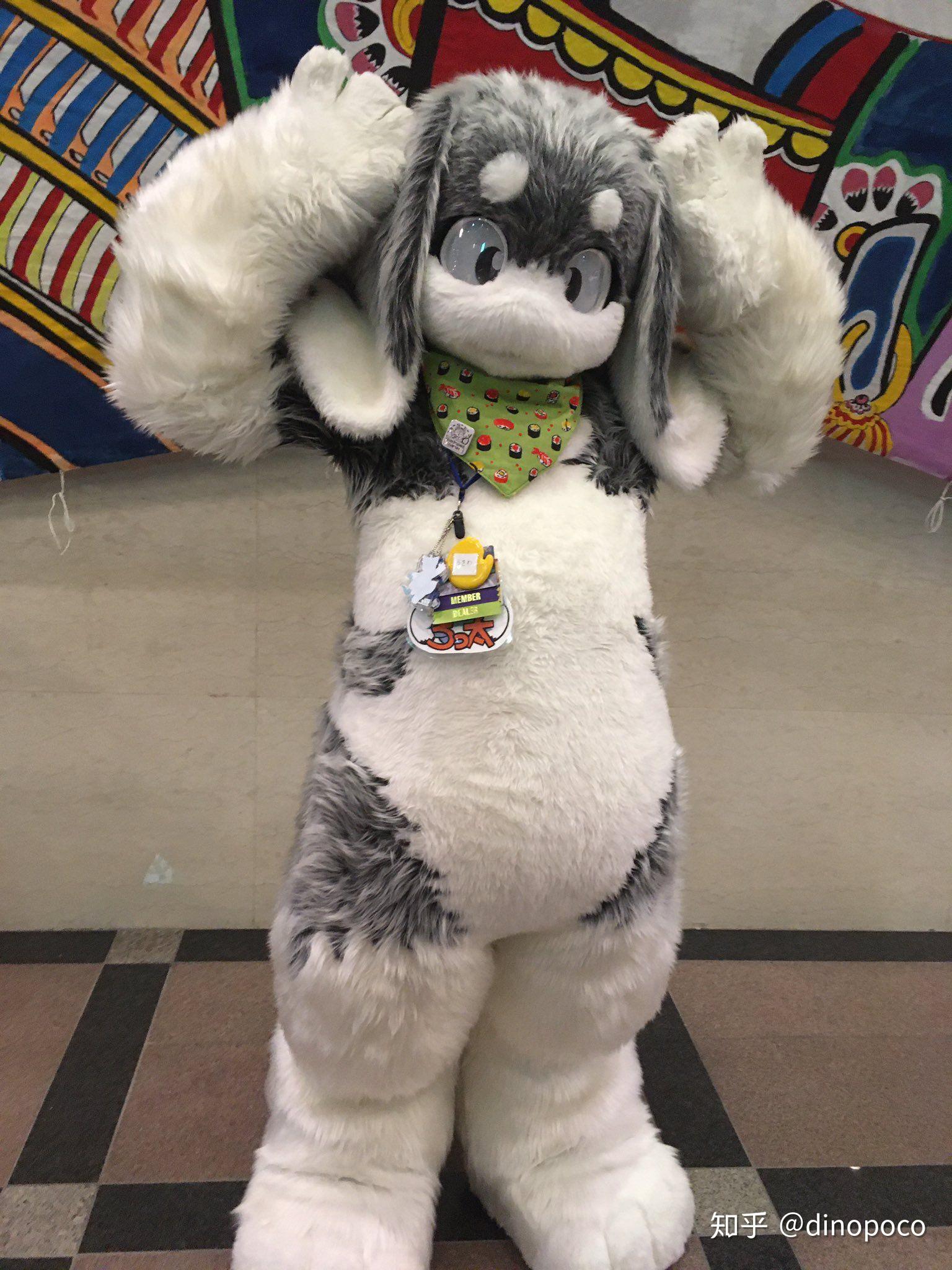 求一些可爱的兔子兽装图片