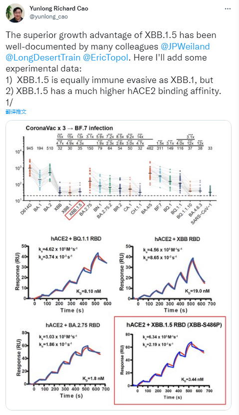 XBB.1.5到底有多厉害?，XBB15到底有多厉害?专家解读