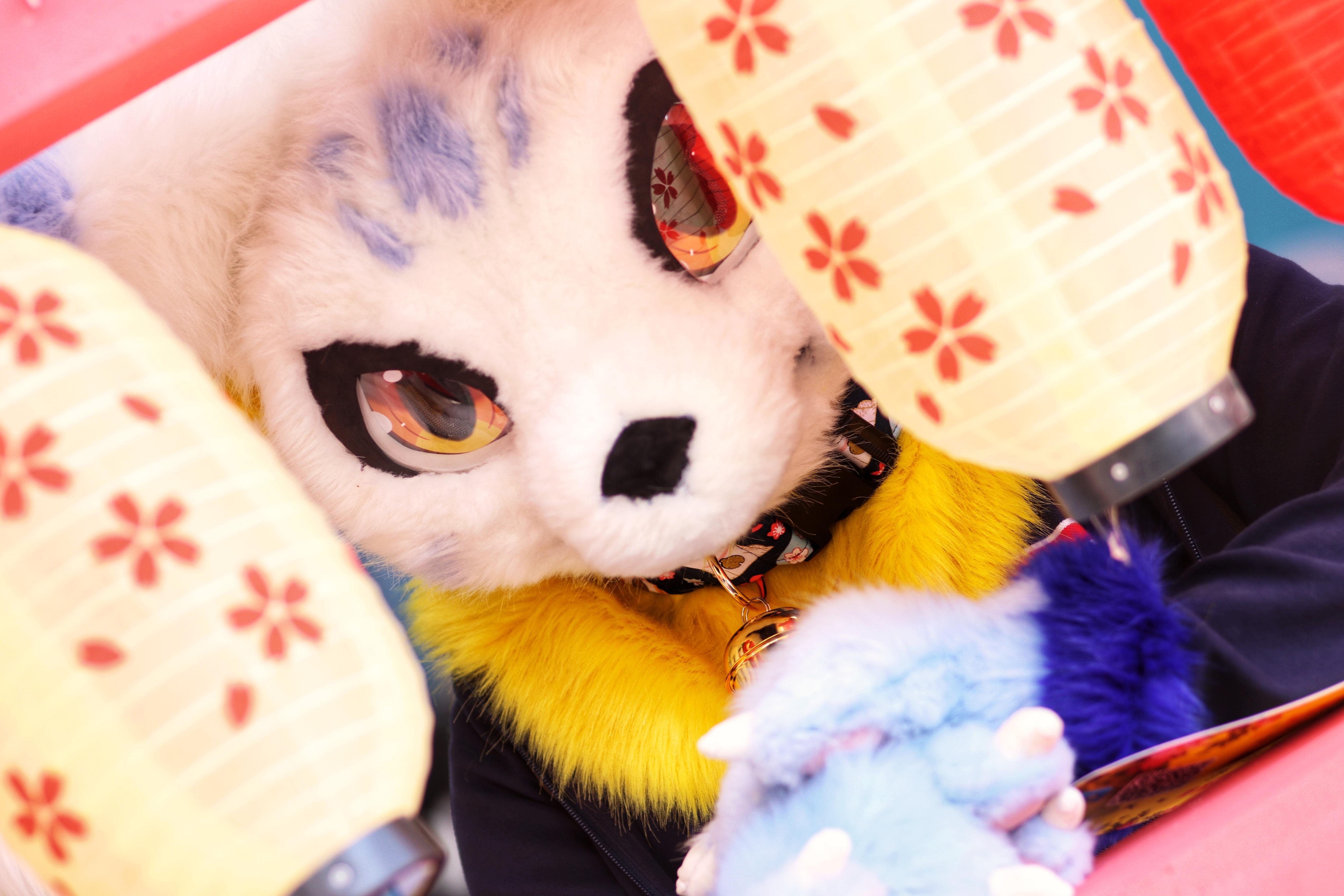 有没有人有好看的或萌的兽装furry图片