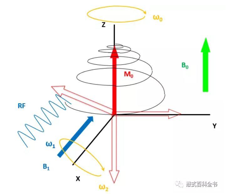 MRI基础知识——自旋、进动及章动 - 知乎