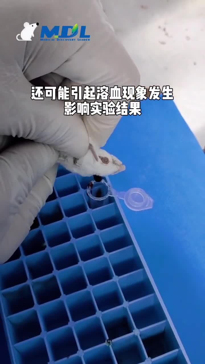 小鼠摘眼球取血图片