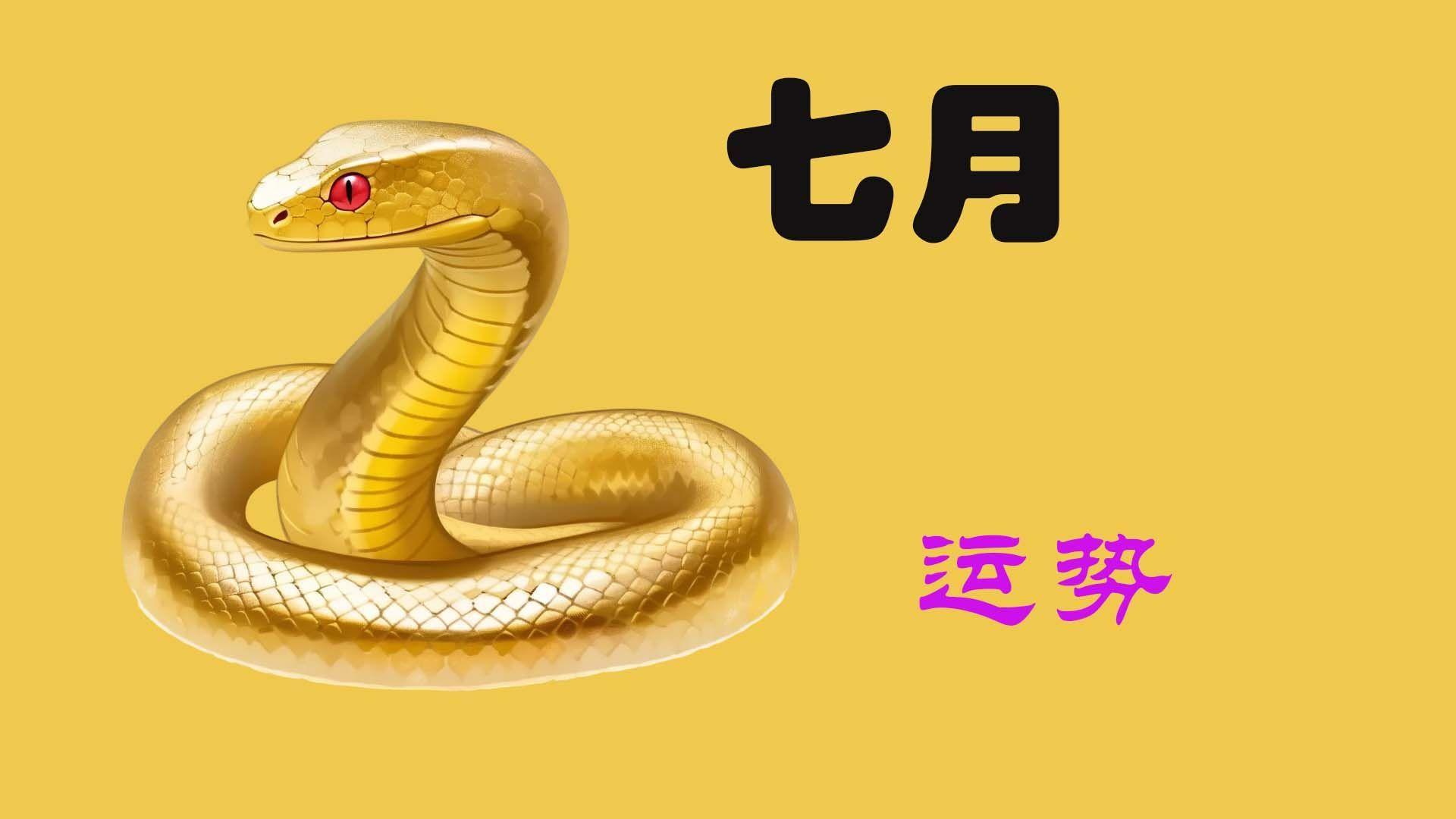 生肖蛇近期运势如何看(生肖蛇近期的运势)
