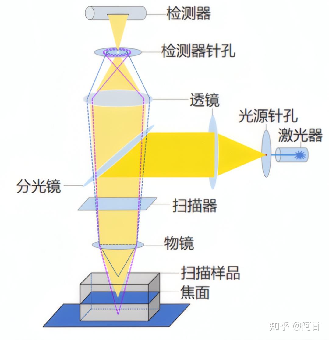 一文读懂共聚焦显微镜的系统组成 - 知乎
