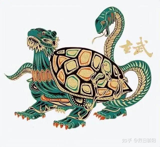 看到乌龟的骨骼,你就会明白,为何它是世界上最诡异的动物之一! - 知乎