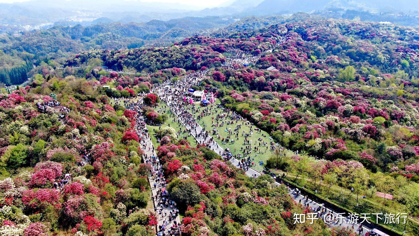 凭“凉爽”出圈的为什么是贵州?气候生态优势,真正把游客当客人 - 知乎