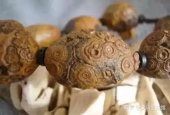 文玩界最罕见的排名前十的文玩是什么,你能认全吗? - 知乎