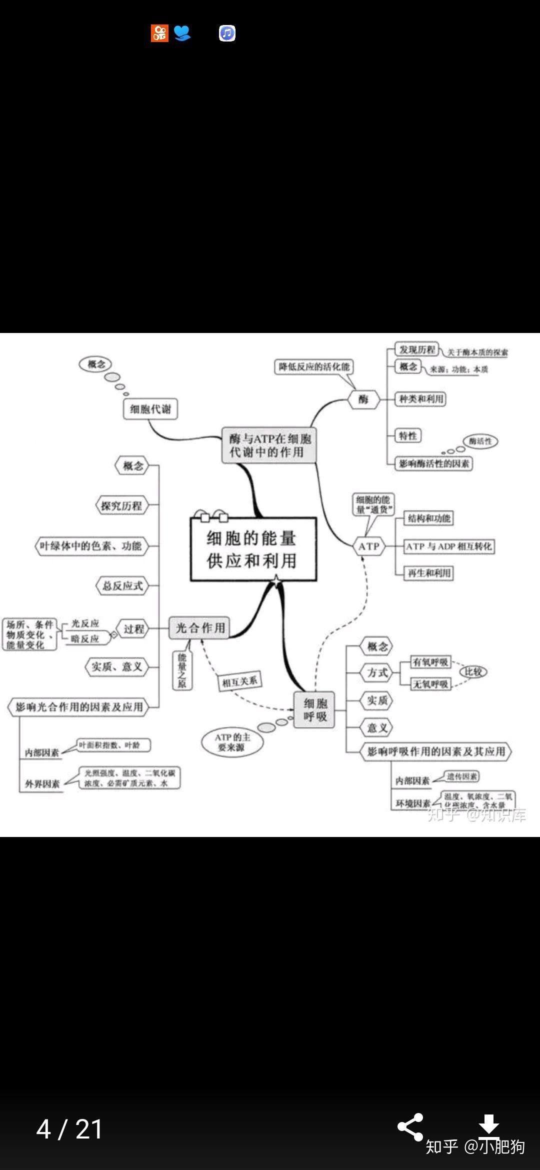 细胞代谢思维导图?