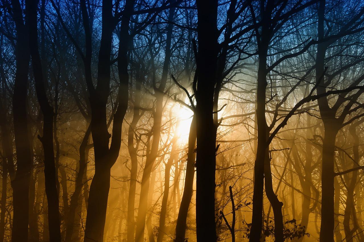 2. 大气压强范围