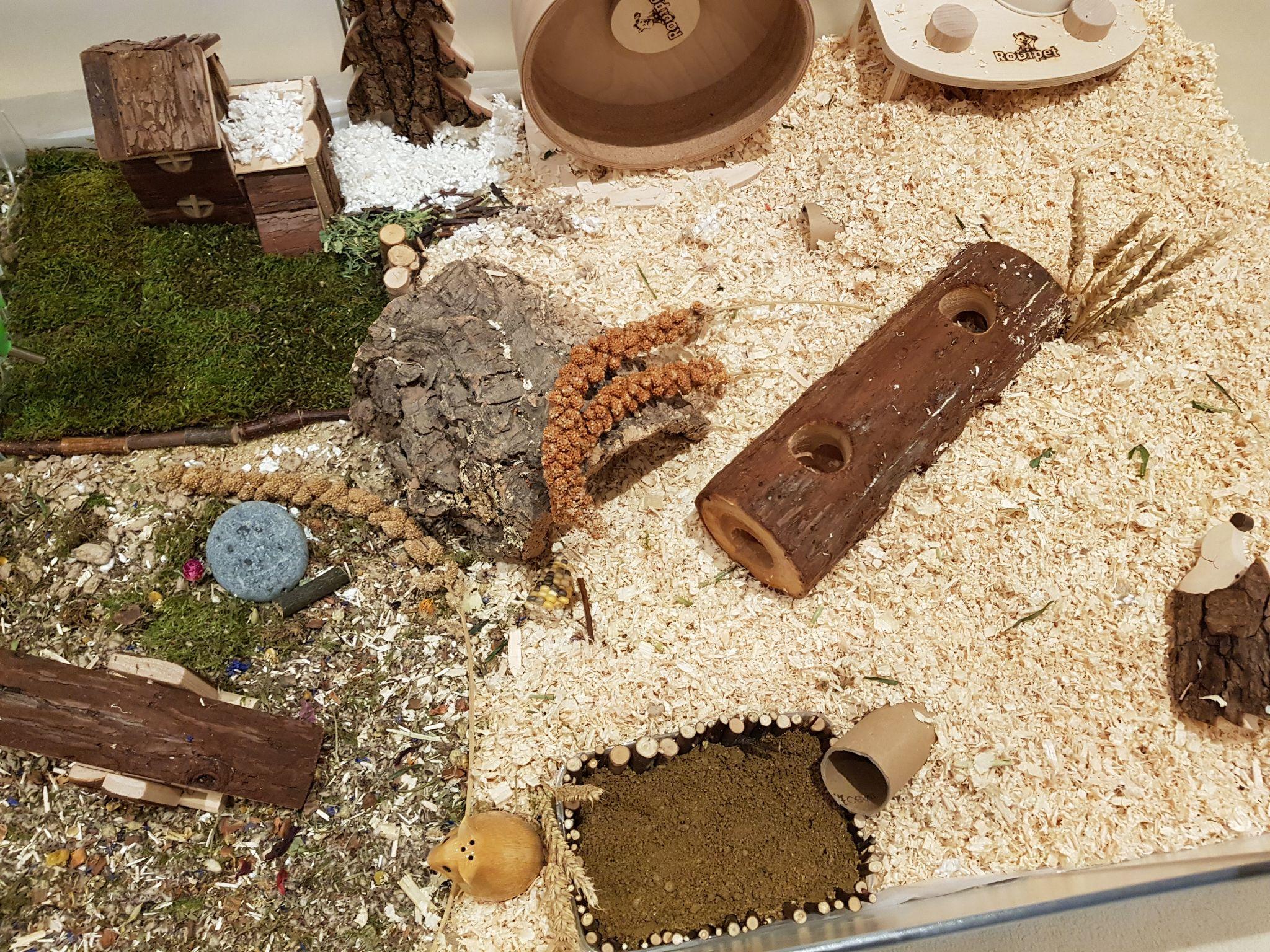 仓鼠笼子如何干净利落地分区布局? - 知乎