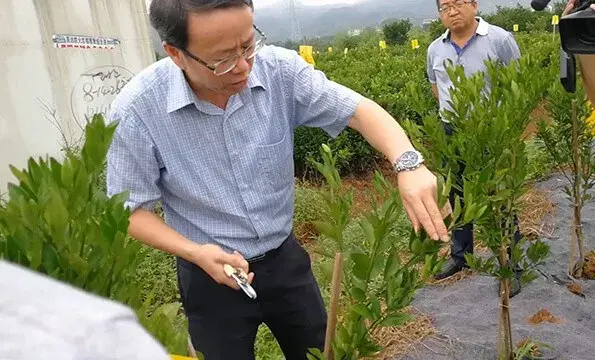 农法自然,不一样的绿色健康公司 - 知乎