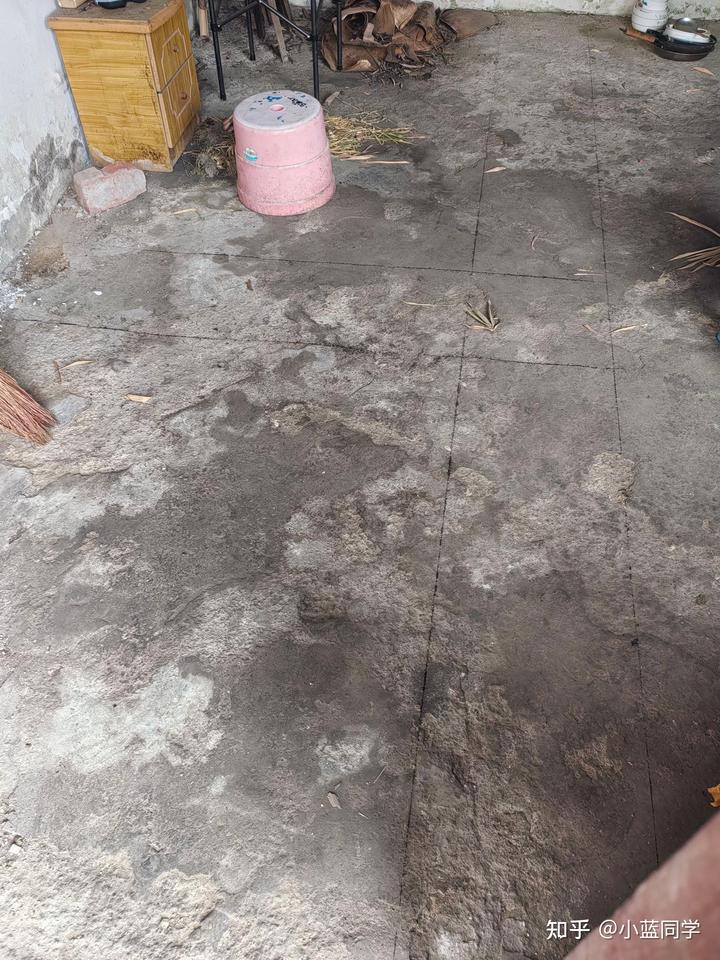 人，可以废物到什么程度？