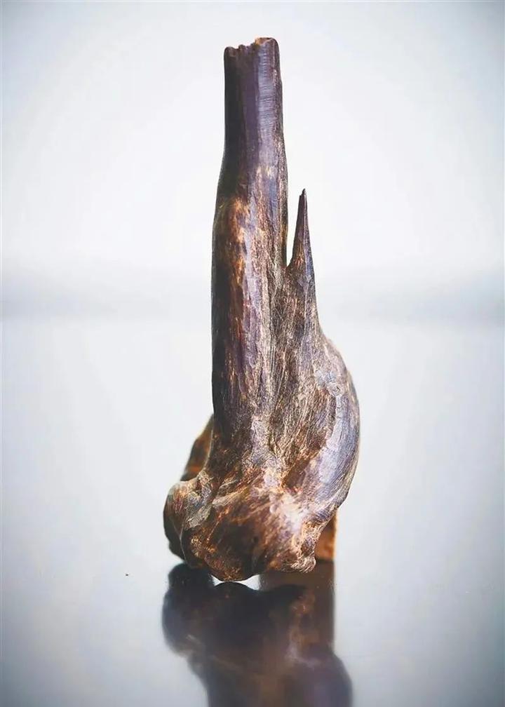 海南沉香,香中极品
