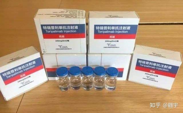 首个国产 pd-1 抗体药物特瑞普利单抗注射液于 12 月 17 日获批上市