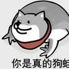 一天