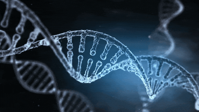 人类的DNA有大概98%是垃圾!?戳破进化论又一雷人观点 - 知乎