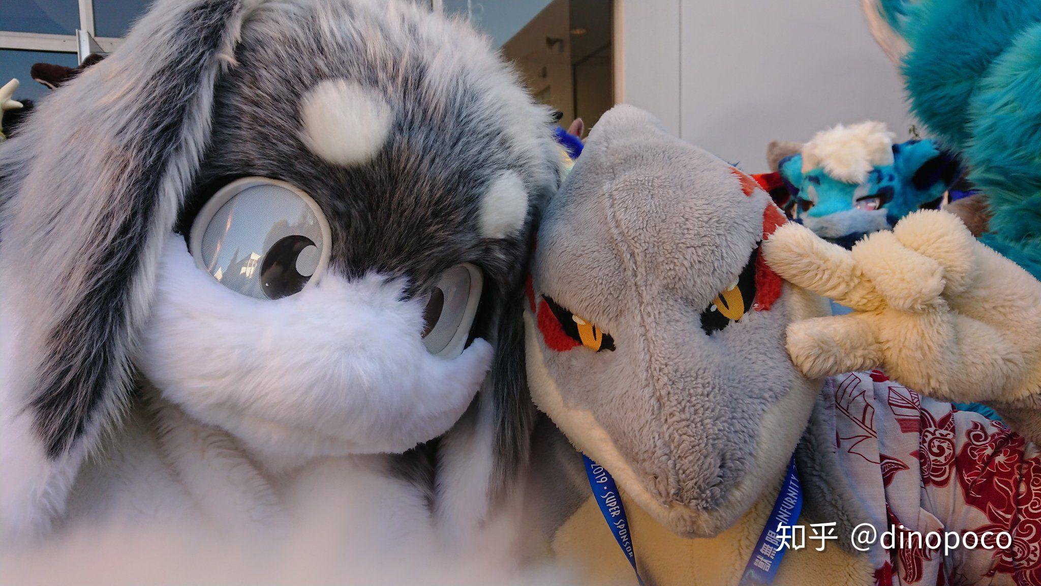 求一些可爱的兔子兽装图片