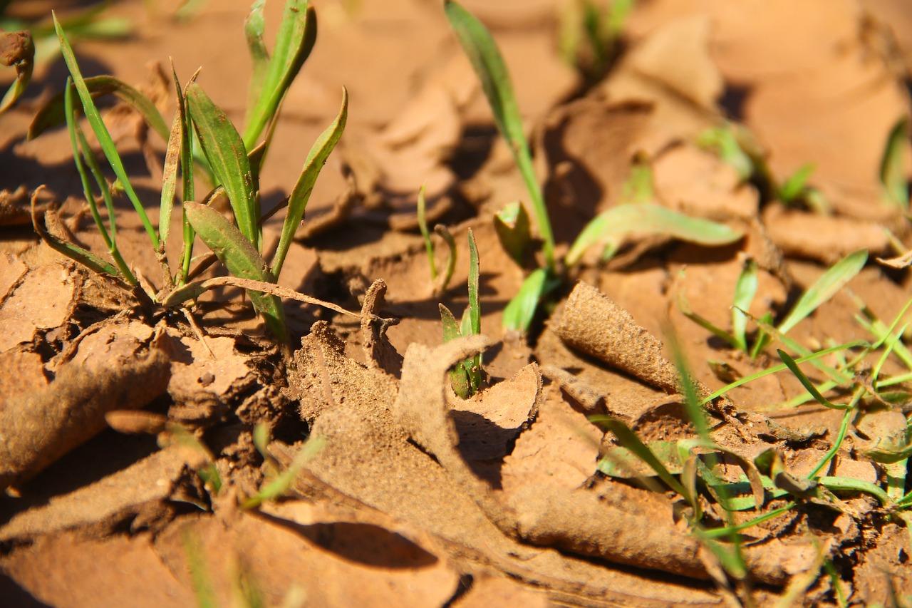 漏水房屋维修责任界定