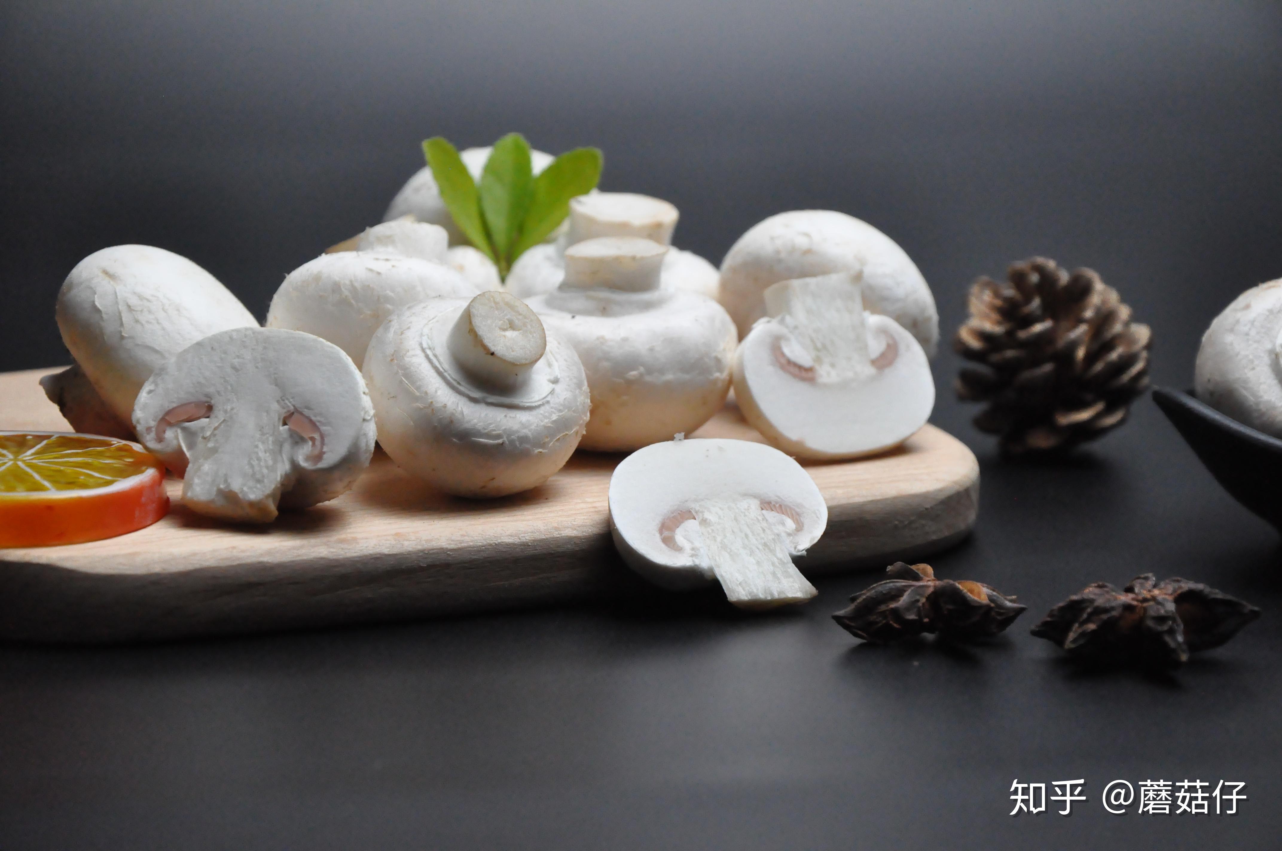 有种白色蘑菇像圆球一样是什么蘑菇