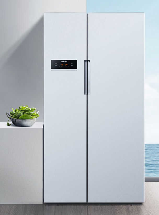 西门子2021新款冰箱图片