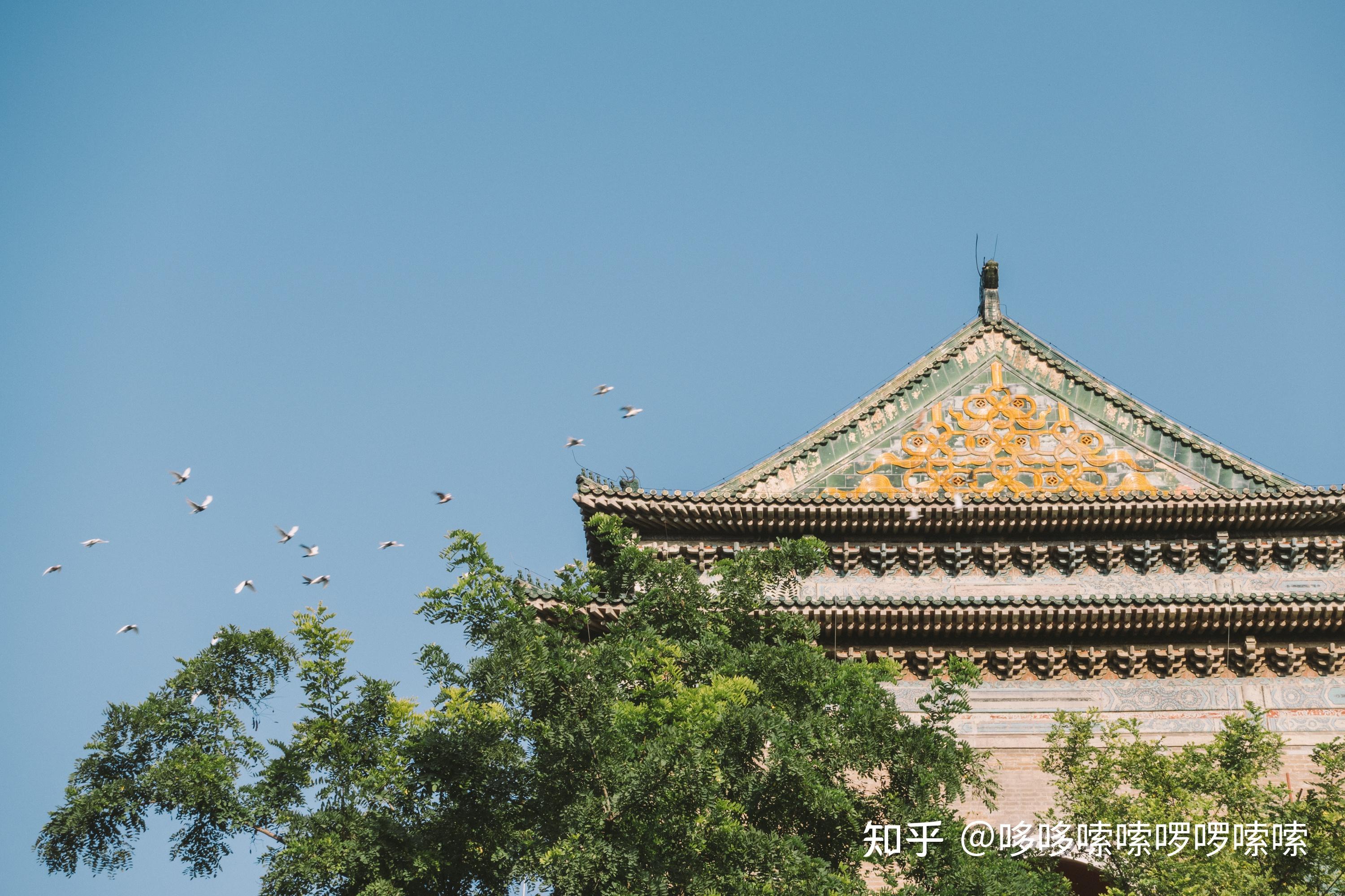 索尼zv1抛开视频功能拍照能力怎么样