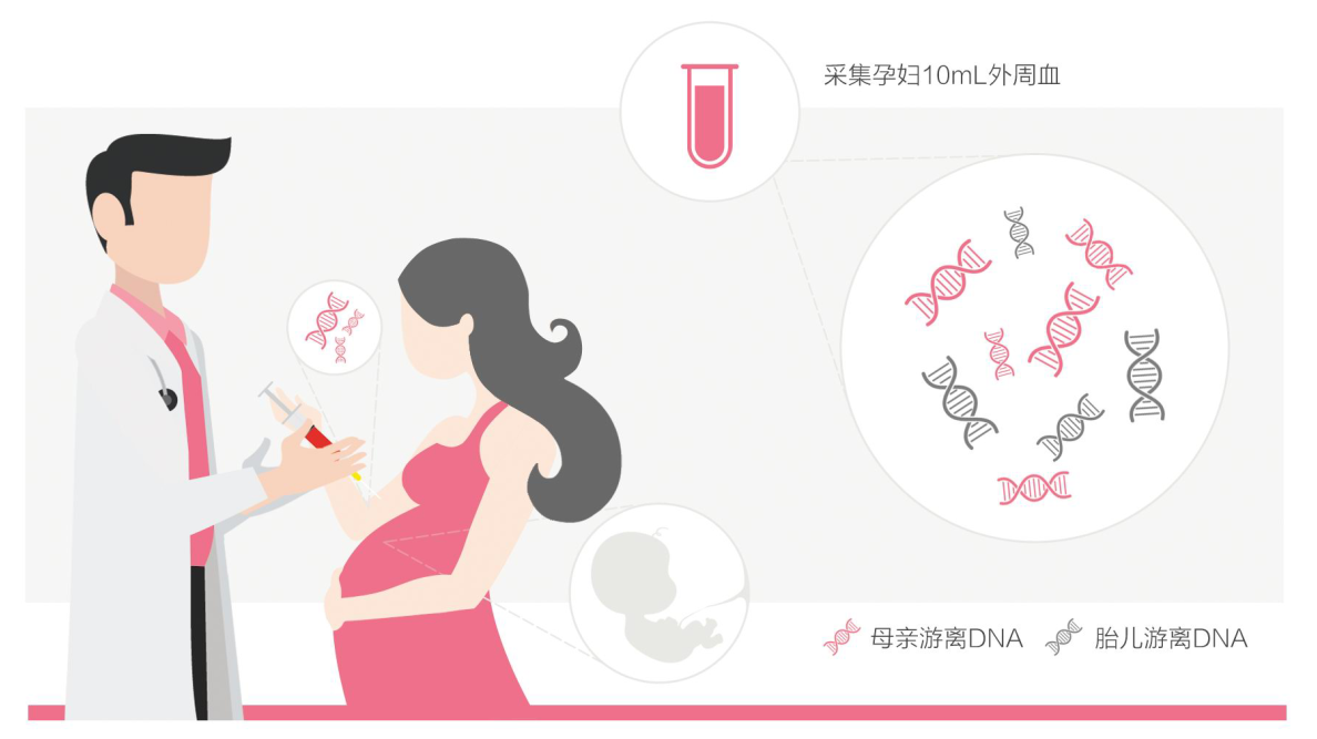 DNA检测