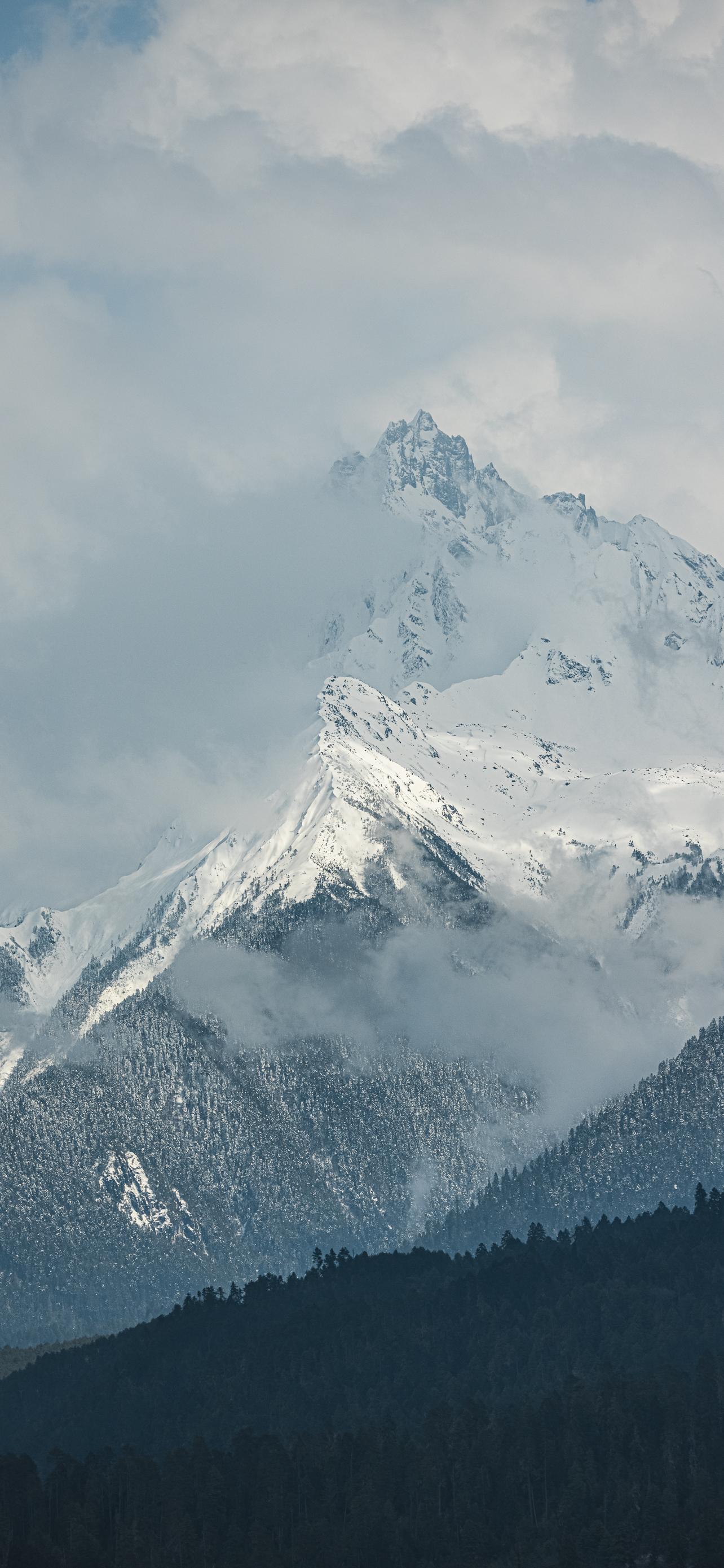 1284_2778竖版 竖屏