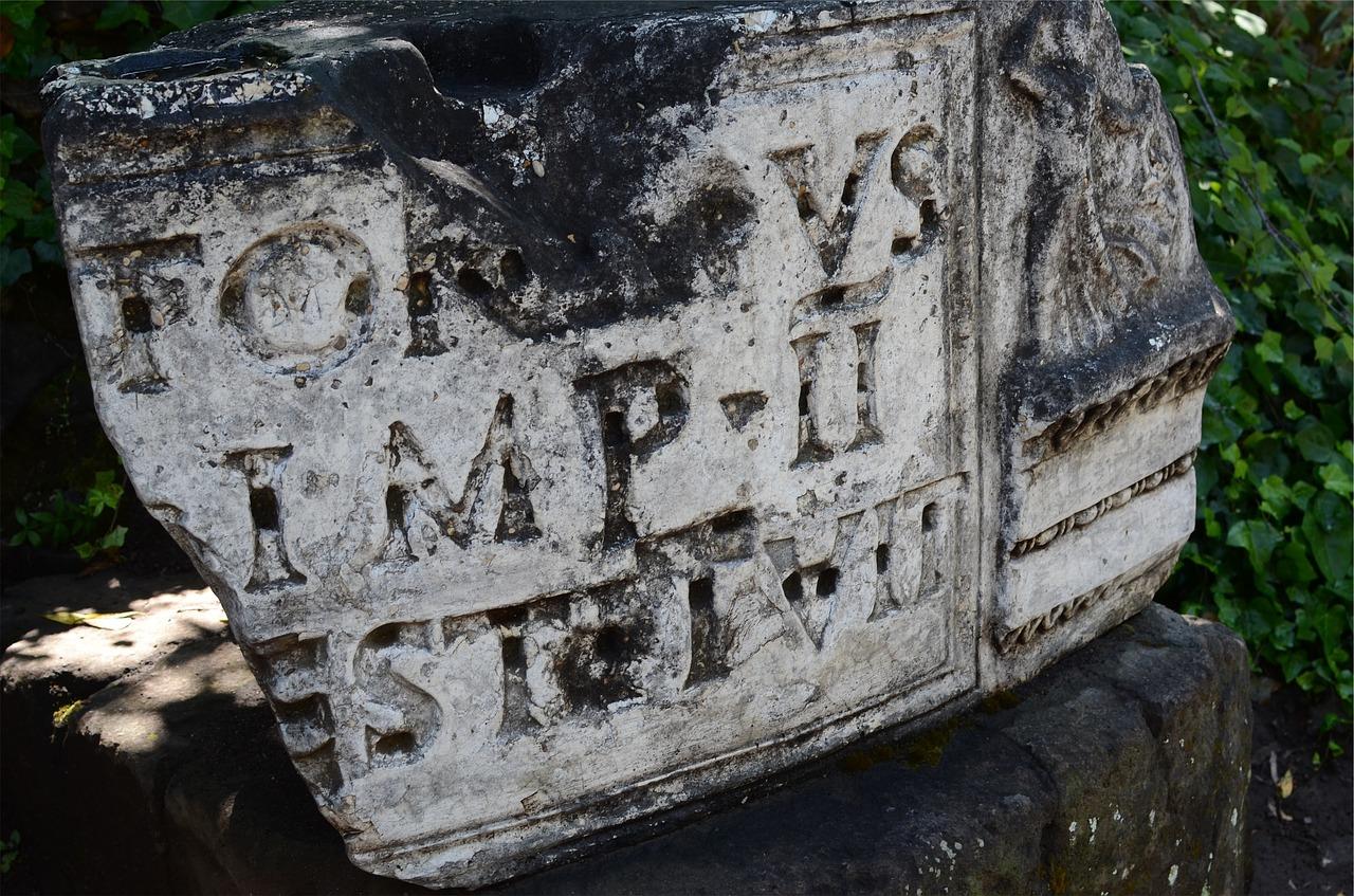 书中见人生百态