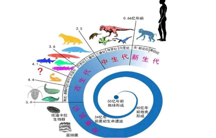 简述:地球上生命的演化过程——是否进化? - 知乎
