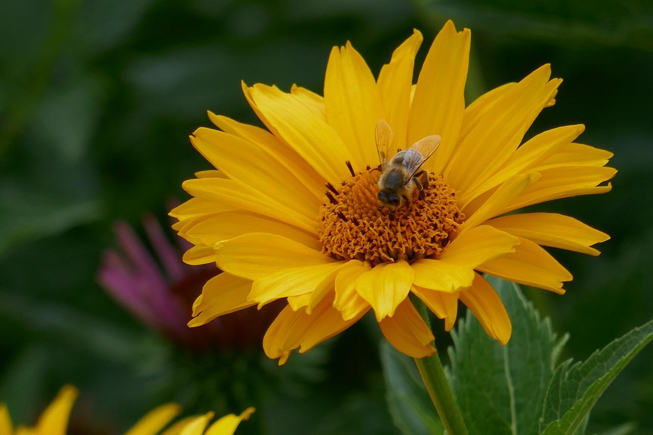 4. 品牌开发商保障