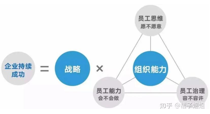 【提升组织效能的秘密武器】杨三角模型及其企业应用案例 - 知乎