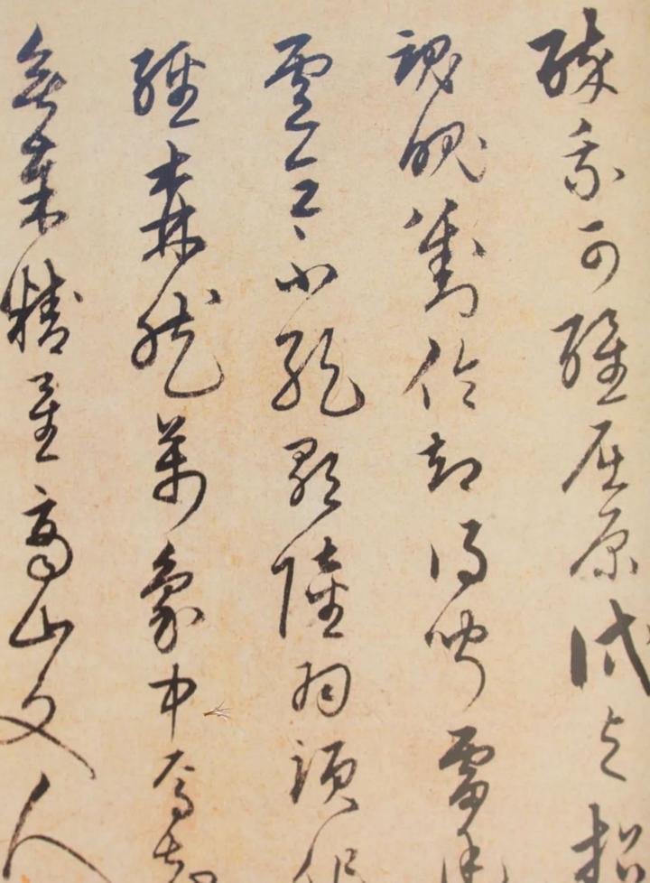 草书是否需要背诵字形:今草万变不离章草宗,需在长期临帖中掌握 - 知乎