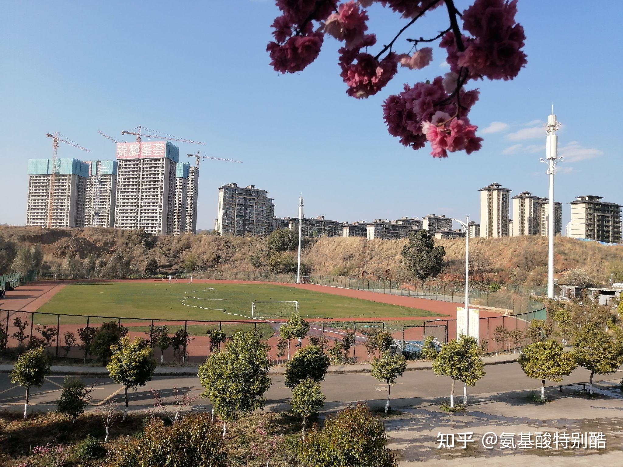 有谁云南旅游职业学院龙头街校区的环境和住宿条件怎么样? - 知乎