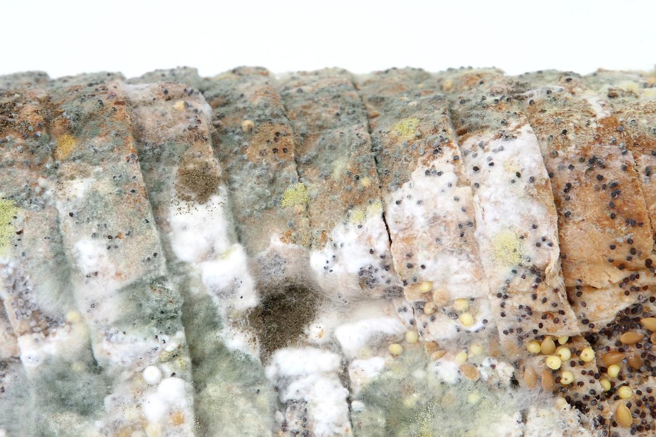 5. 适度湿度防细菌