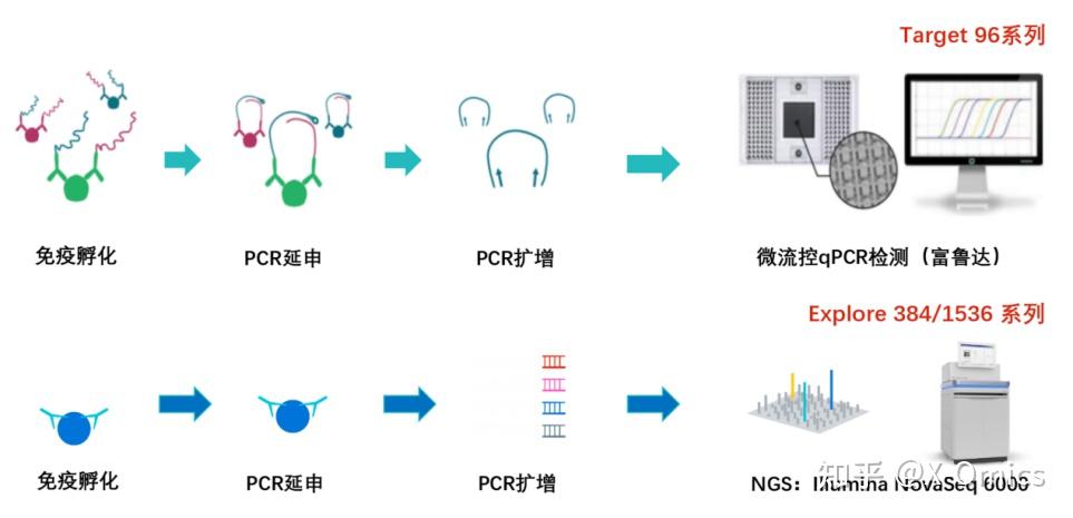 Olink 蛋白质组学的技术原理是什么？ 知乎