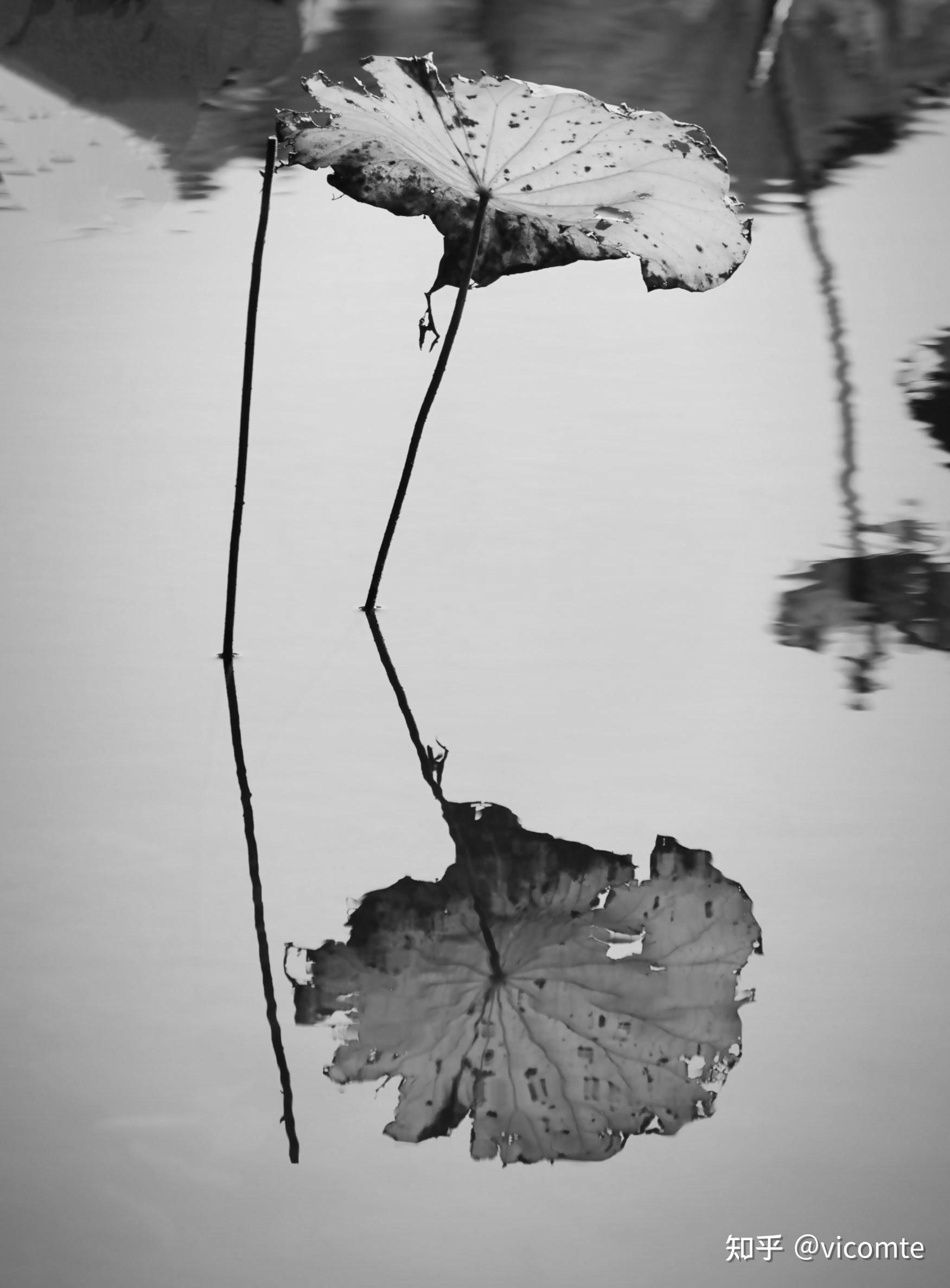 大学生自学摄影半年报名摄影协会遭拒请大佬们指点不玻璃心