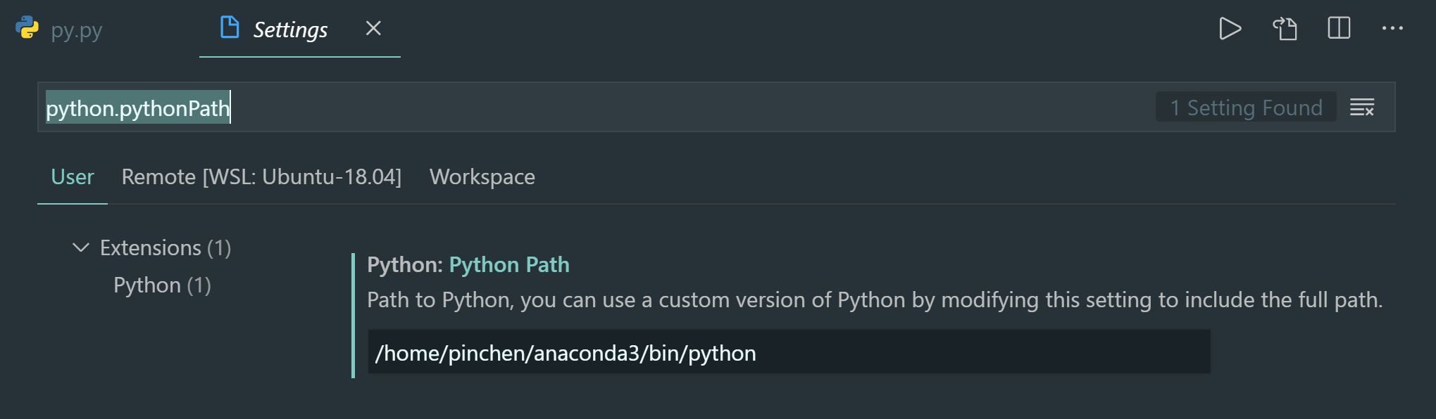 vscode-python-code-runner