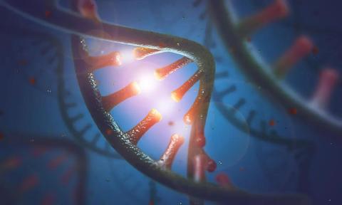 RNase:生命微观世界中的另一类神奇“剪刀手” - 知乎