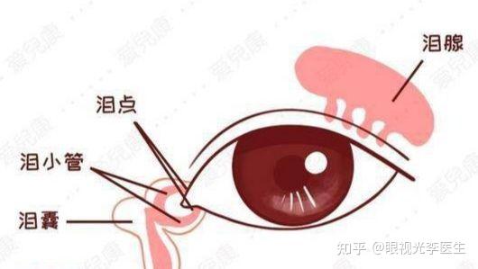 慢性泪囊炎患者在日常用眼方面需要注意什么? - 知乎