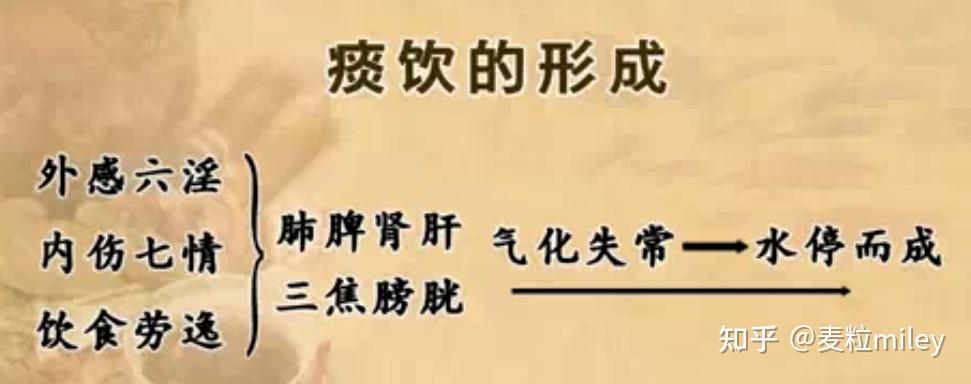 中医|病因——病理产物 - 知乎