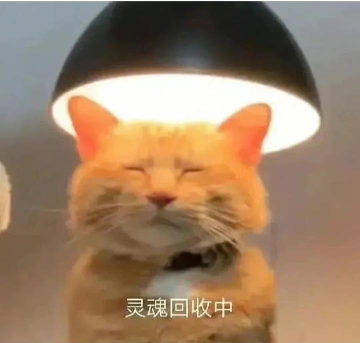 此刻 - 知乎