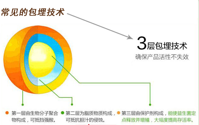 益生菌包埋技术特点,包埋益生菌品牌有哪些? - 知乎