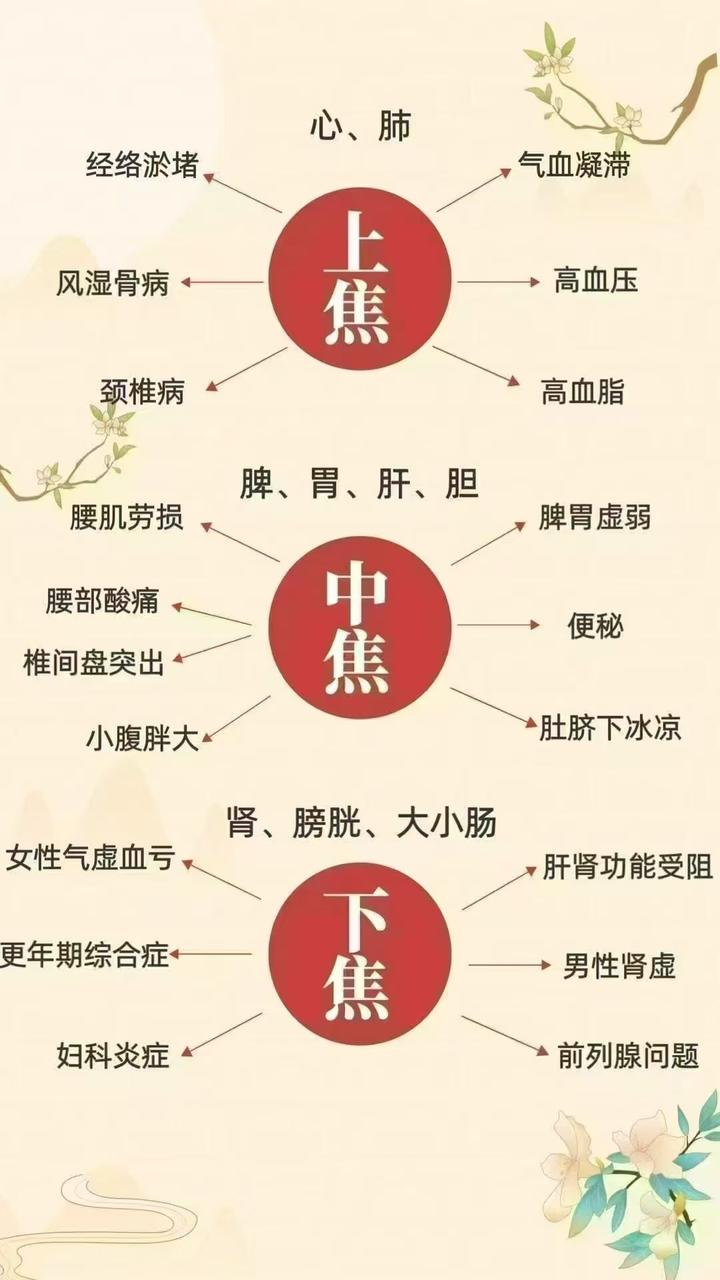 三焦不通一身堵!上焦火、中焦湿、下焦虚,3 个中成药打通三焦,浑身轻松 - 知乎