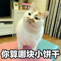 Zhihu profile picture for @analytical