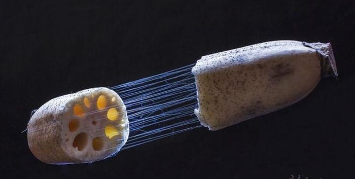 藕丝可以做成面料吗藕丝纤维有哪些优缺点