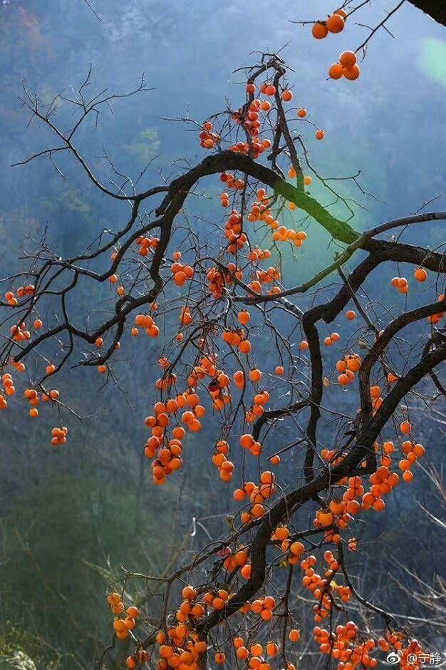 李志新专辑《1701》里的《定西》想要表达什么?