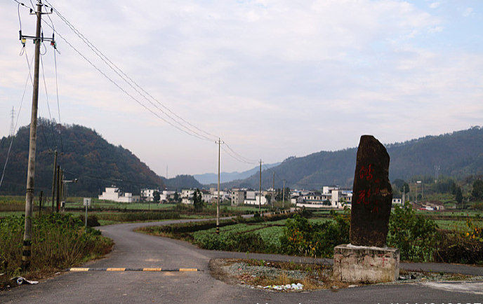 鸿飞村图片