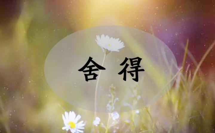 也说说舍与得 - 知乎