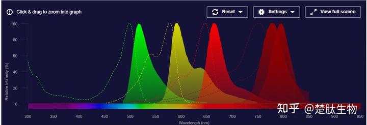 什么是荧光标记? 荧光标记有哪些产品？ - 知乎