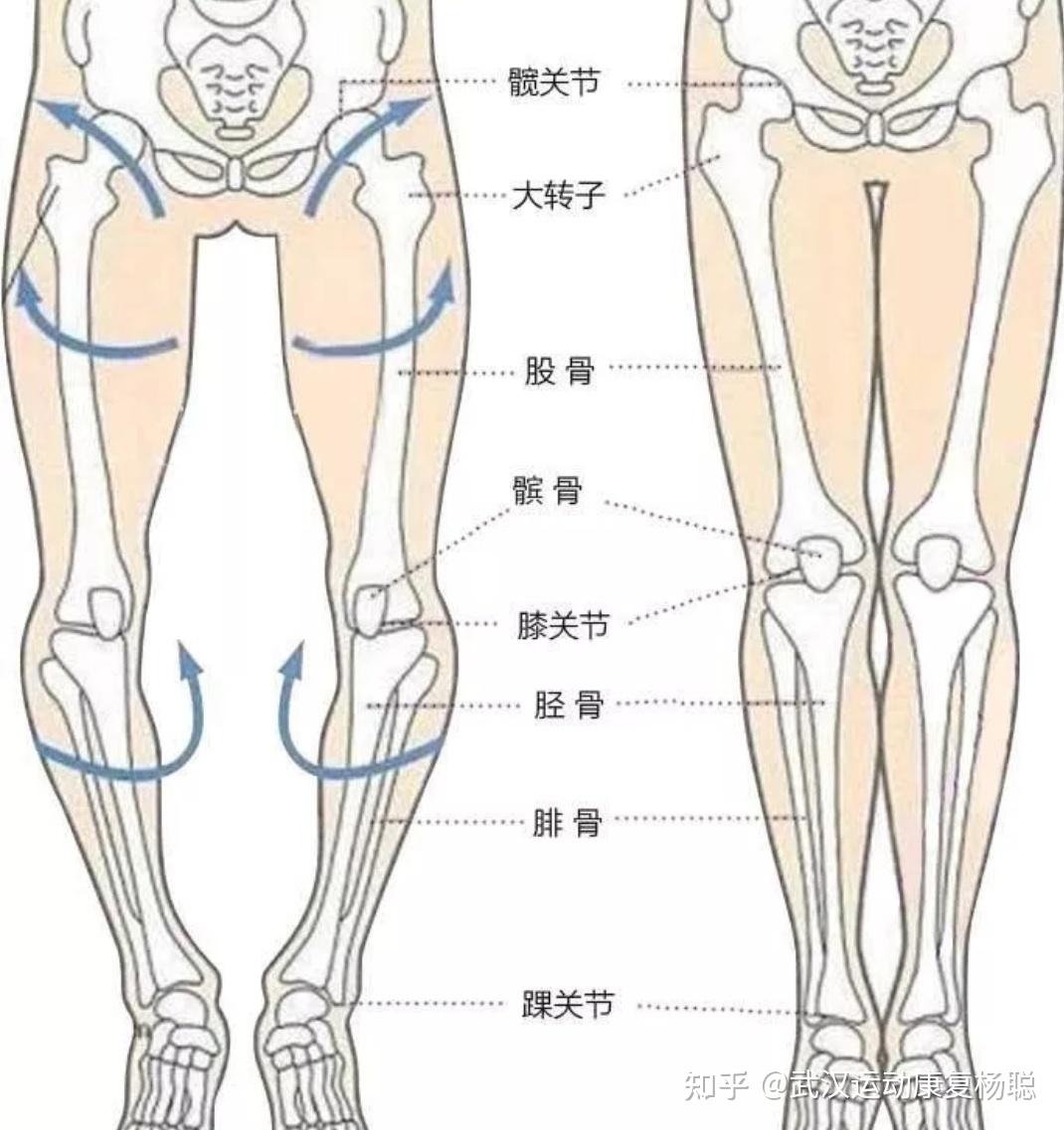 我16岁请问o型腿还能纠正吗